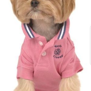 Meet your Posher, Stephenette